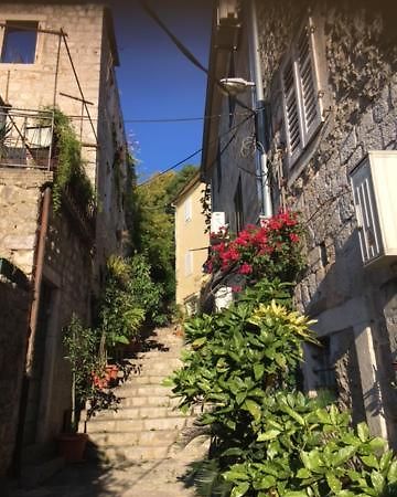 Apartment Simo Herceg Novi Exteriér fotografie
