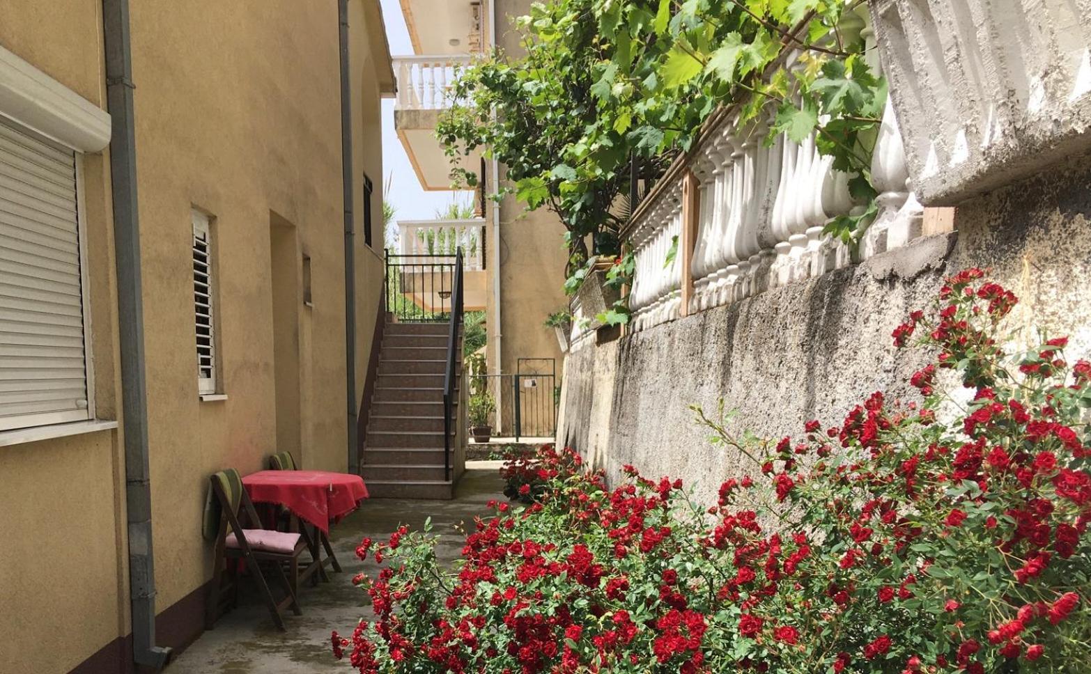 Apartment Simo Herceg Novi Exteriér fotografie